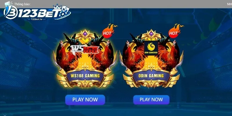 Bảng trận hiển thị dữ kiện trước giờ đấu