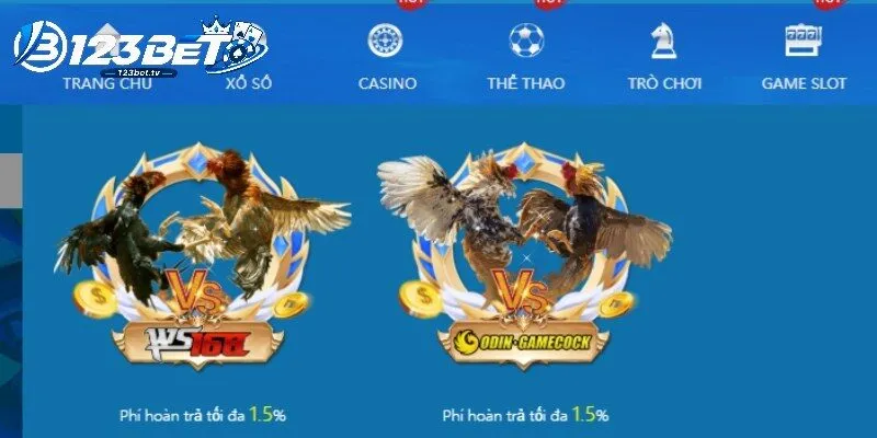 Cược thủ so sánh cửa trước khi xuống tiền
